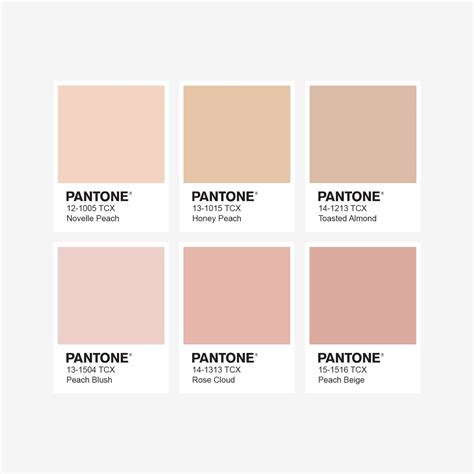 pantone nude|Pantone Nude Color Palette with Pink Tones